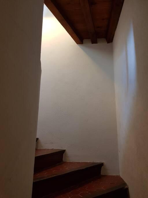 Appartement Pres Des Plages Du Mourillon Toulon Exteriér fotografie